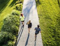 So läuft es gut: Sommer-Fahrplan für 3 unterschiedliche Lauftypen © iStock / Halfpoint So läuft es gut: Sommer-Fahrplan für 3 unterschiedliche Lauftypen