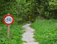 Wegerecht für Mountainbiker: Das steckt hinter den bekanntesten Mythen