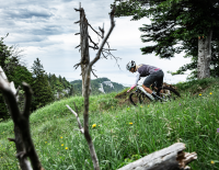 Scott: Diese Bike-Highlights solltest du 2019 nicht verpassen