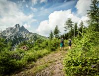 Wandern in der Wildnis: Luchstrail