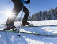 Skitourenbindung