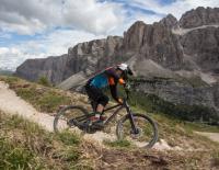 Mtb Trail
