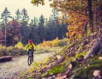 Aller Anfang ist ... leicht: 4 Mountainbike-Tipps für Einsteiger