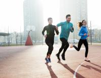 Die Trainingsbereiche erklärt: Von GA1 bis zum Spitzenbereich