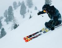 fischer sports curv ski