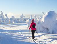 Nordischer Wintersport