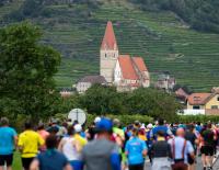 Wachaumarathon 2019 © Fotograf / Benjamin Butschell Wachaumarathon 2019