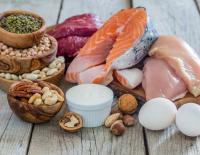 Proteinbedarf