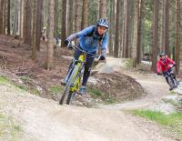 Wexl Trails 2019
