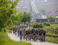 Radmarathon - Neusiedl am See