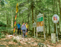 Wanderabenteuer ohne Grenzen: Entdecke den Qualitätswanderweg Goldsteig