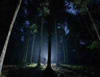 HG-Kollektion von Dainese: Für Mountainbiker mit Wettkampfgeist