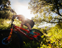 6 Träume, die sich jeder Mountainbiker erfüllen sollte