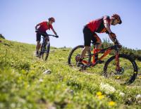 Das sind die Bike-Neuheiten 2020 von KTM