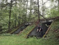 Bergamont: Die E-Bike-Highlights 2020