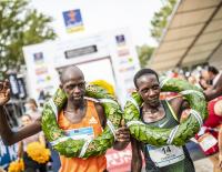 Kärnten läuft Marathon