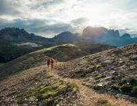 Dynafit Trailrunschuh - Vibram