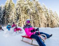 Zillertal Rodelspaß