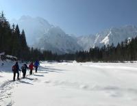 Schneeschuhcamp für Einsteiger im Karawankenhof