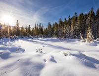 DAS MÄRCHENHAFTE BERGDORF IN SKI AMADÉ