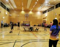 Volleyball meets Tischtennis: Teqvoly ist in Österreich angekommen!