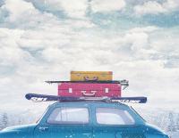 Welchen Ski brauche ich?