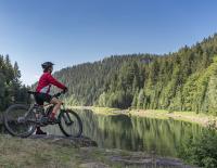 MTB-History: Wir nehmen die Herkunft des Mountainbikes unter die Lupe