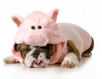 Botschafter der Komfortzone