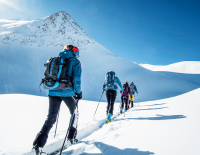 schritt für schritt offline gehen