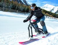 Türkis-Grün in Schieflage