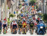 Sport total am Neusiedler See