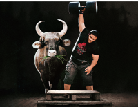 Game Changers: Fake oder Fakten? Analyse der Netflix-Doku über vegane Ernährung