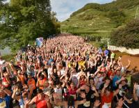 © Event / WACHAUmarathon / Veranstalter Wachaumarathon 2020: Laufen im Weltkulturerbe