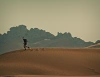 Advertorial Pachleitner