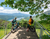 Amor, Alfred und der Käse: Region Millstätter See