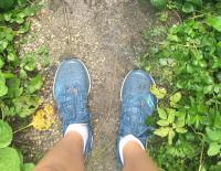 News für alle Läufer vom LCC Wien: Adi Gruber Frühlingsmarathon findet virtuell statt!