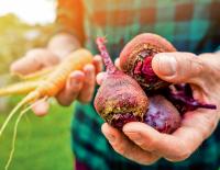 Superfoods: das Gute so nah