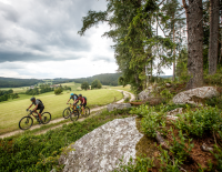 Waldviertler Mountainbike-Erlebnis