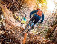 Konfliktzone Wald: Experten zitieren Lösungen im komplexen Konflikt