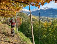 BIKEPRO: Traumjob Mountainbike Guide