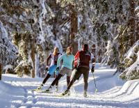 Alleskönner Langlaufen: Was der Sport fürs Laufen und Biken bringt