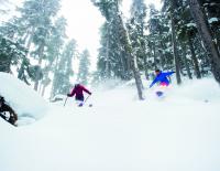 Natur pur: Es gibt sie noch - Skigebiete, die auf Naturschnee setzen