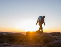 © Fotograf / unsplash.com / Usman Omar Der nächste Frühling kommt bestimmt: Erfrischende Wanderungen im Mühlviertel