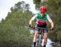 Pirelli: Klassiker mit Biss