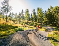 Bike Kleinkirchheim - vom Berg zum See