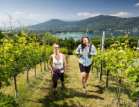 © Fotograf / Region Klagenfurt/Gernot Gleiss / Von der Wörthersee-Ostbucht aus geht es durch die Weingärten auf das Kreuzbergl. Wandern in Klagenfurt: Stadt, See, Bergl