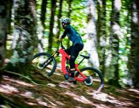 Ein perfekter Allrounder: Das Xtep Carbon von BH Bikes