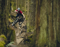 Wettlauf für das Hirn: besser geschützt bei Fahrrad-Stürzen