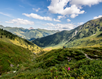 © Fotograf / Erwin Haiden / KAT-Walk Urlaub in den Kitzbüheler Alpen: Hier gibt's von allem etwas mehr!