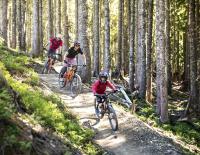 © Fotograf / Klemens König Legal Biken: Wo dürfen wir Biken?